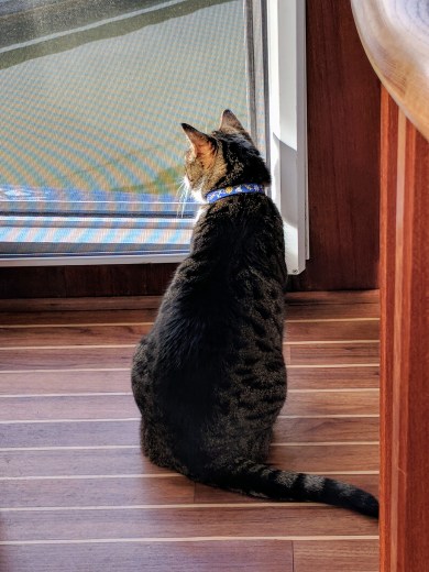 Maker:S,Date:2017-9-17,Ver:6,Lens:Kan03,Act:Lar02,E-ve